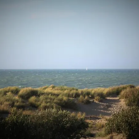 In Near The De Haan
